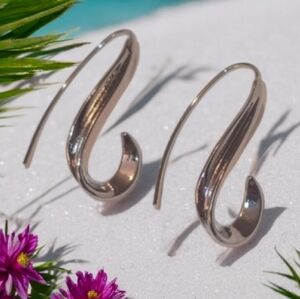 Silver Hoop Earrings